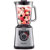 Moulinex Perfect Mix+ LM811D